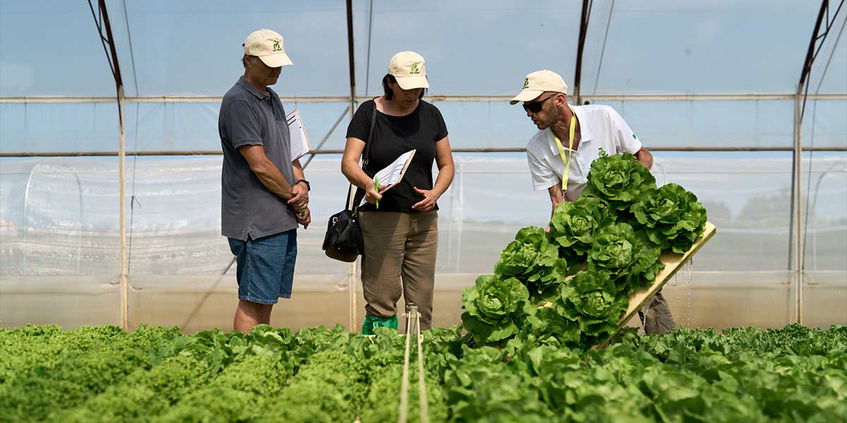 Rijk Zwaan, grande soddisfazione per i Demo Days in Romagna